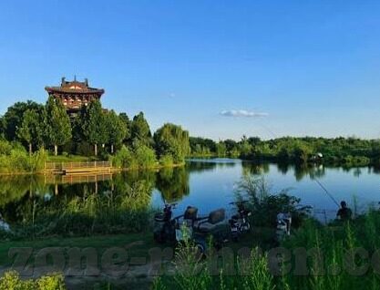 3d动物森林舞会下载-3D动物森林舞会，一场梦幻般的冒险之旅