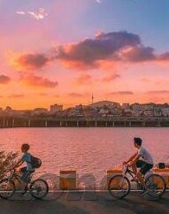足球比分118直播-足球比分118直播，足球盛宴的实时窗口